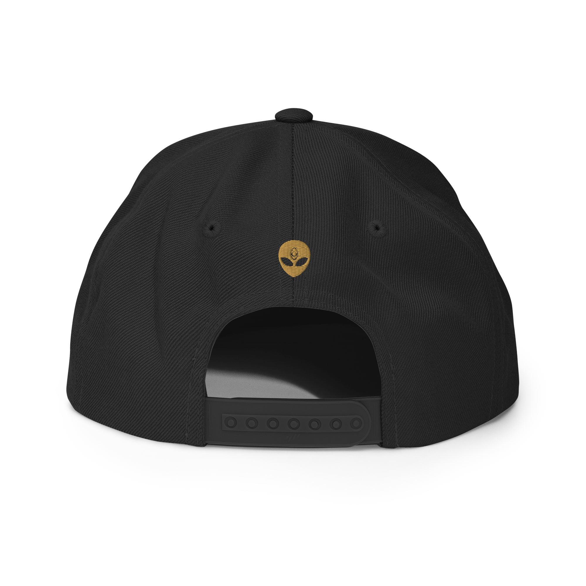 Sovereign Snapback