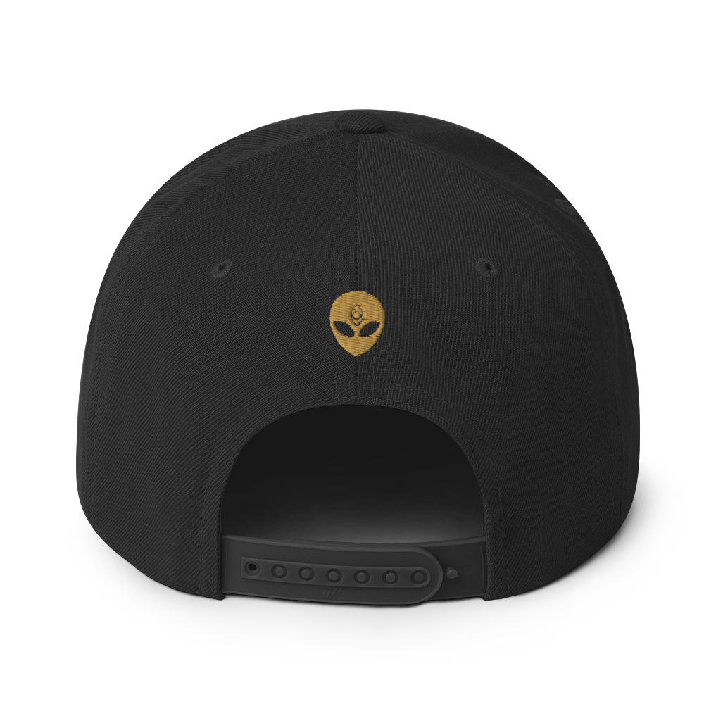 Sovereign Snapback
